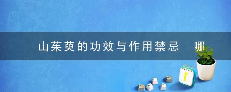 山茱萸的功效与作用禁忌 哪些人不适合服用山茱萸